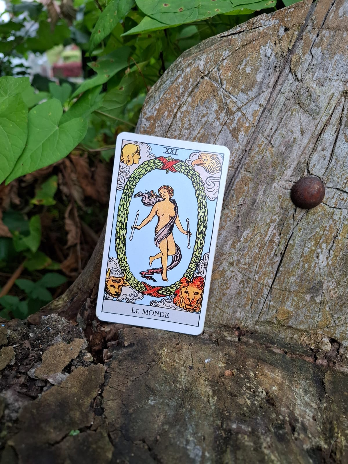 La Carte du Monde dans le Tarot : Et si la vraie réussite, c&rsquo;était l&rsquo;équilibre ?